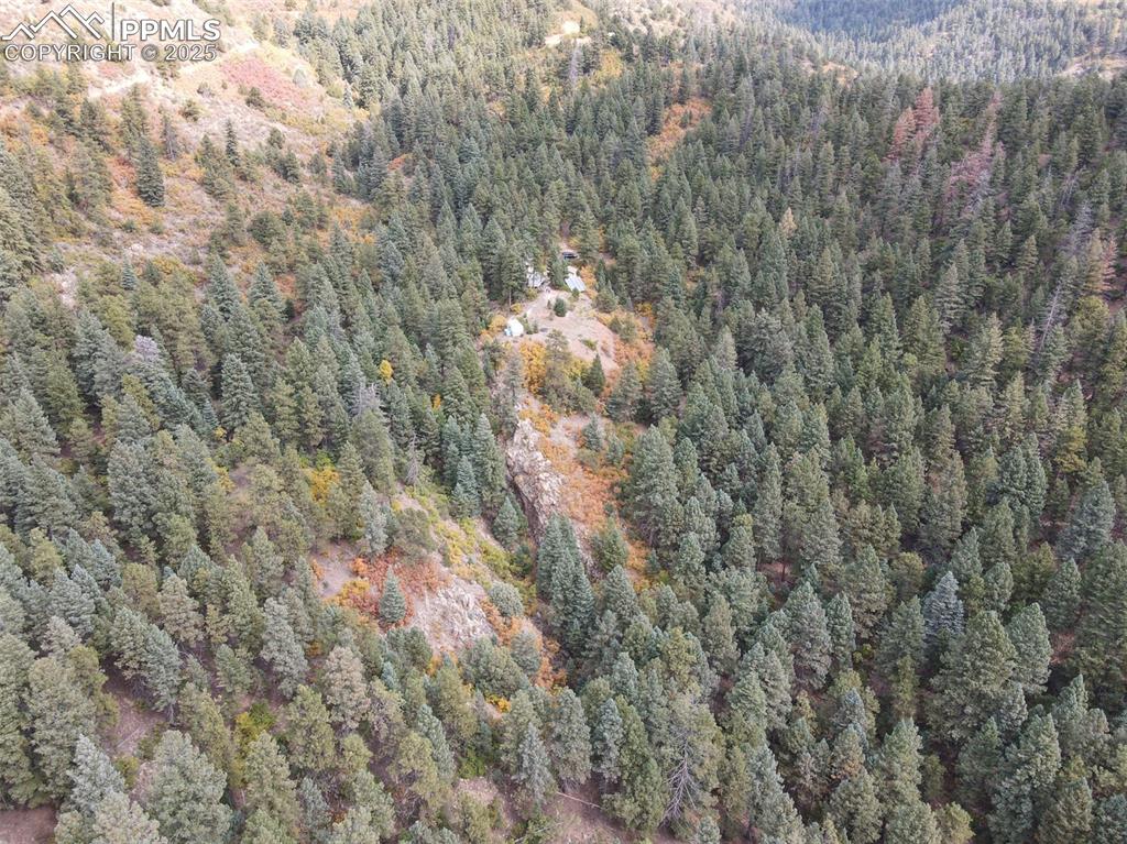 4950 Little Turkey Creek Road Colorado Springs, CO 80926 - Photo 32 of 33 a view of a yard with an outdoor space