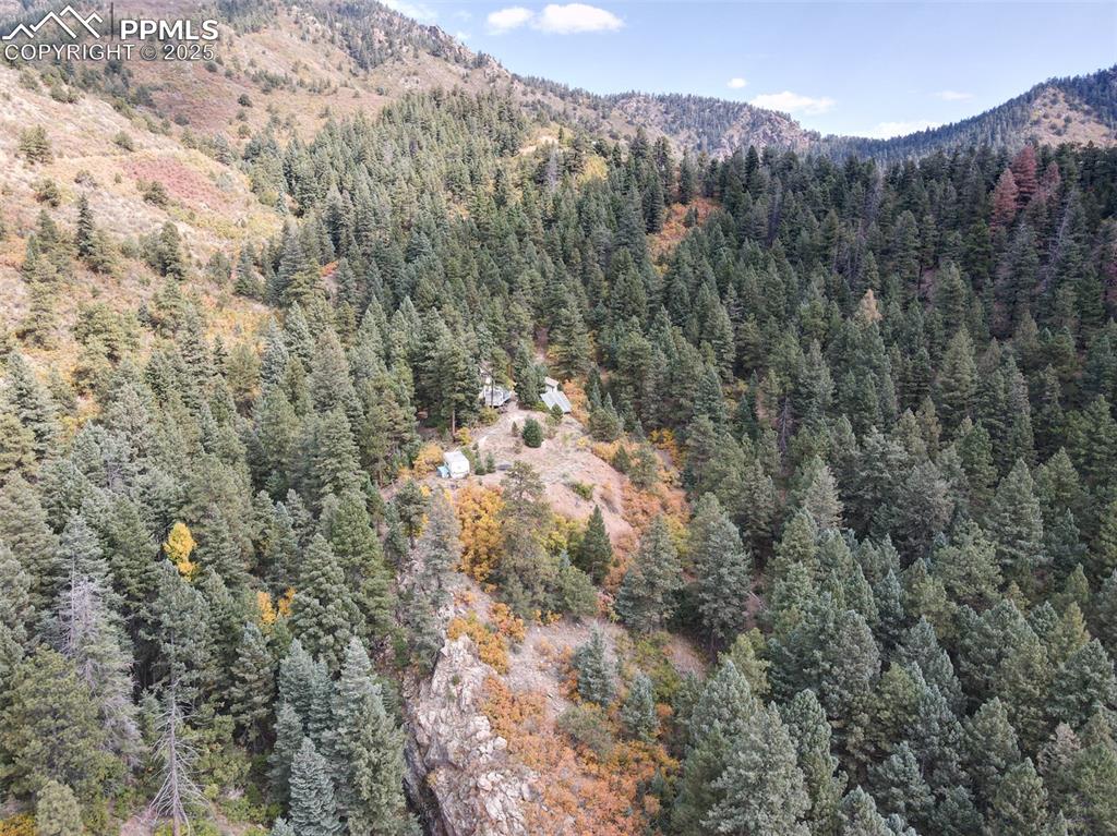 4950 Little Turkey Creek Road Colorado Springs, CO 80926 - Photo 33 of 33 a view of a forest with a mountain