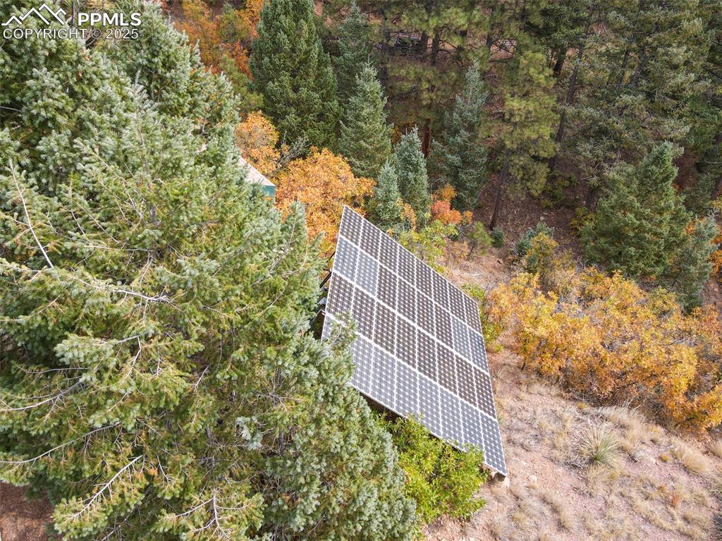 4950 Little Turkey Creek Road Colorado Springs, CO 80926 - Photo 6 of 33 a view of a yard with plants and wooden fence