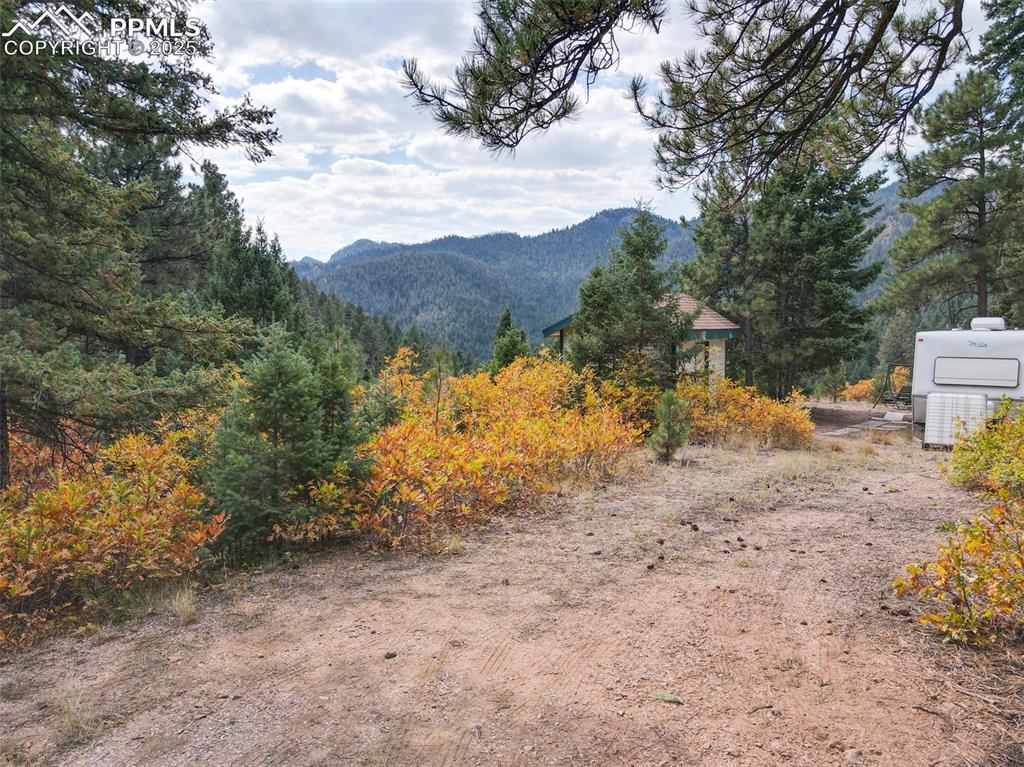 4950 Little Turkey Creek Road Colorado Springs, CO 80926 - Photo 7 of 33 a view of a yard with a tree