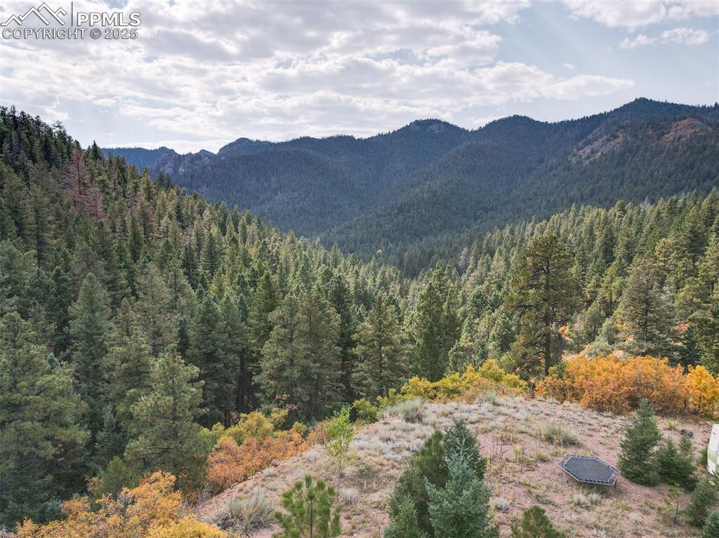 4950 Little Turkey Creek Road Colorado Springs, CO 80926 - Photo 8 of 33 a view of a forest with mountains in the background