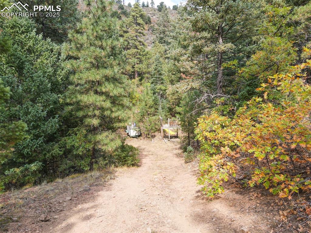 4950 Little Turkey Creek Road Colorado Springs, CO 80926 - Photo 9 of 33 a view of a yard with trees