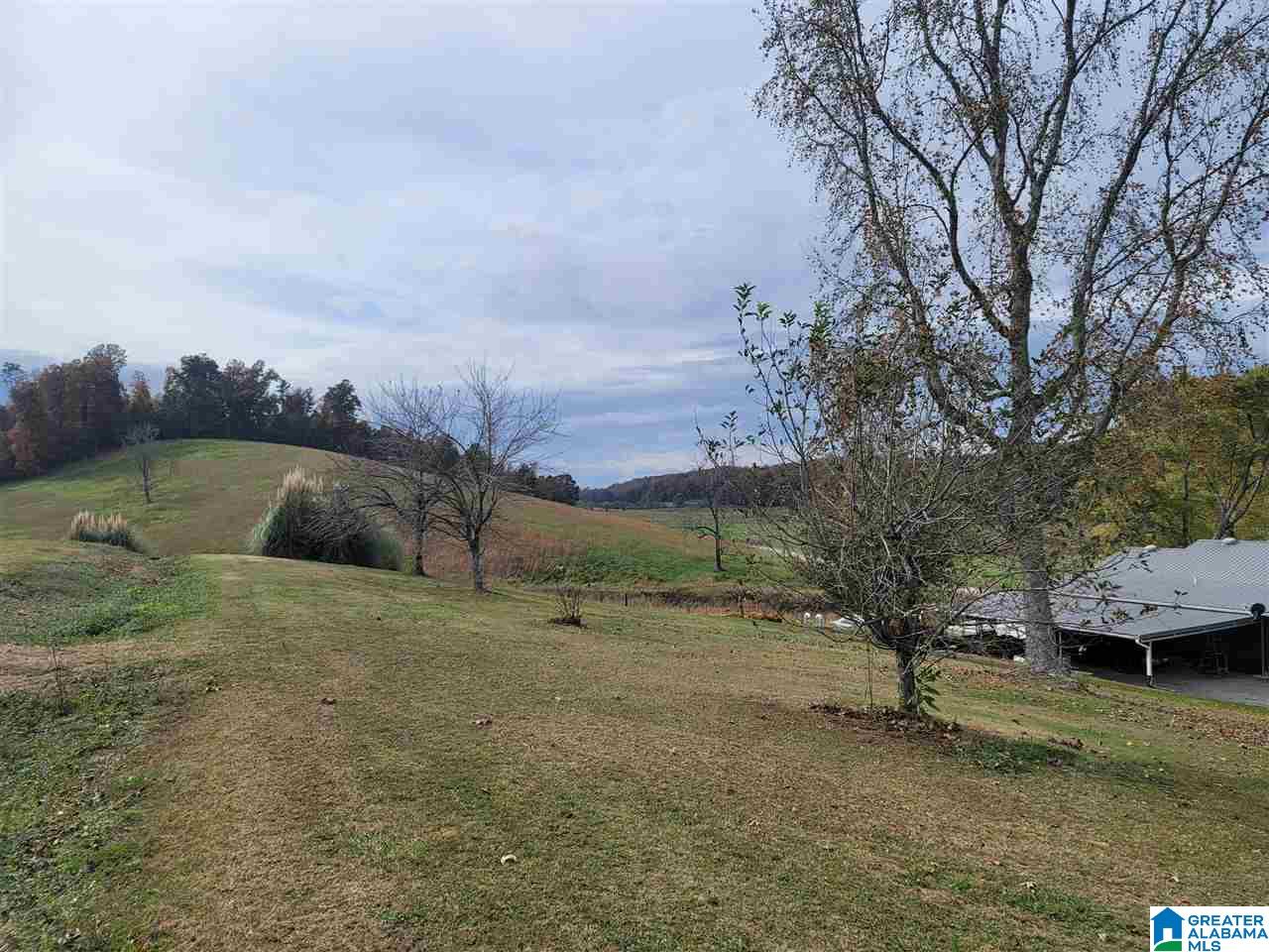 2182 Pitt Road Blountsville, AL 35031 - Photo 28 of 34