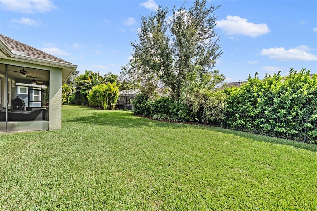 6908 Covington Stone Avenue Apollo Beach, FL 33572 - Photo 34 of 60 a view of a backyard with potted plants and a large tree