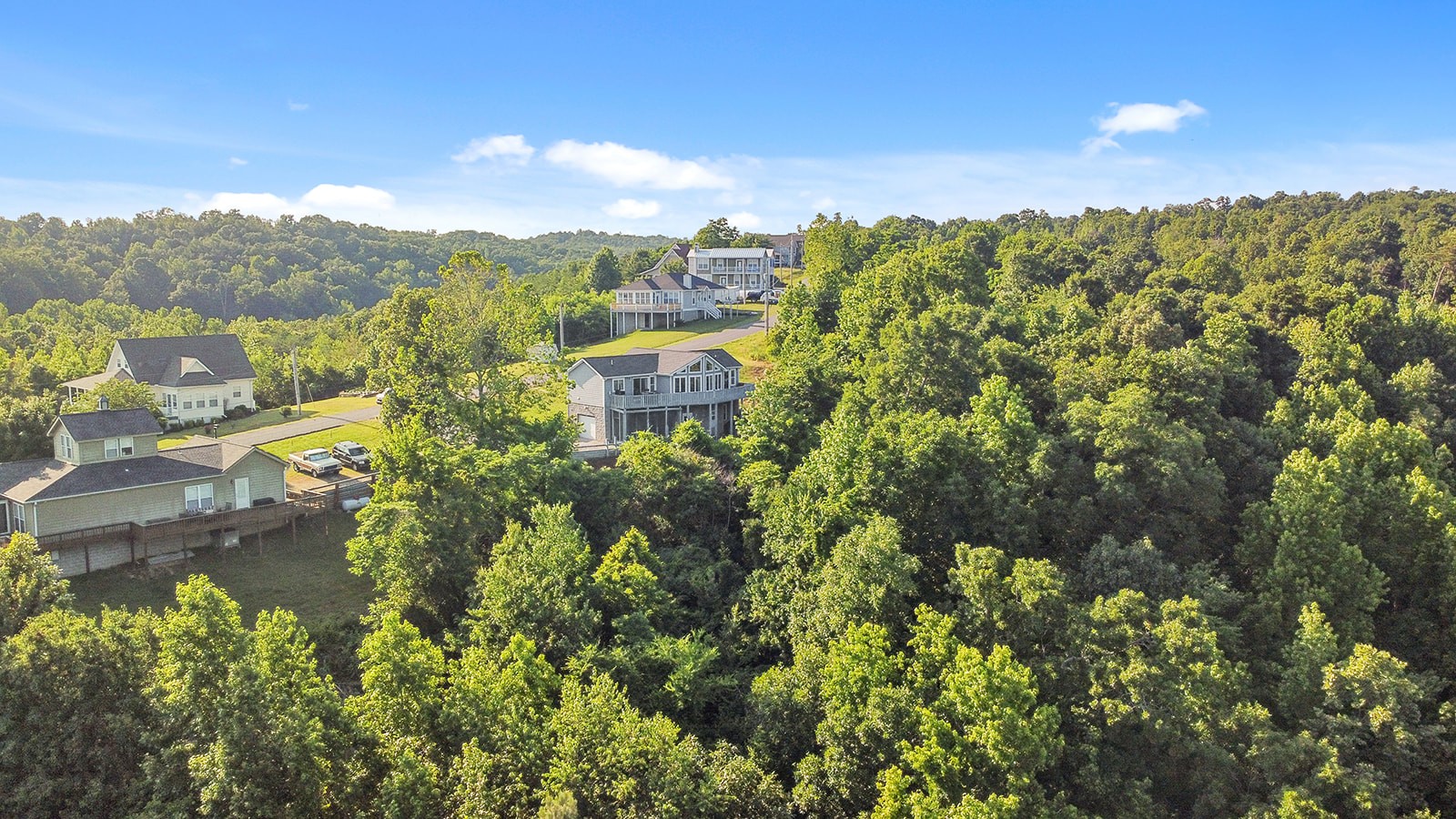 465 Turtle Point Lane Waverly, TN 37185 - Photo 6 of 49 a view of a city