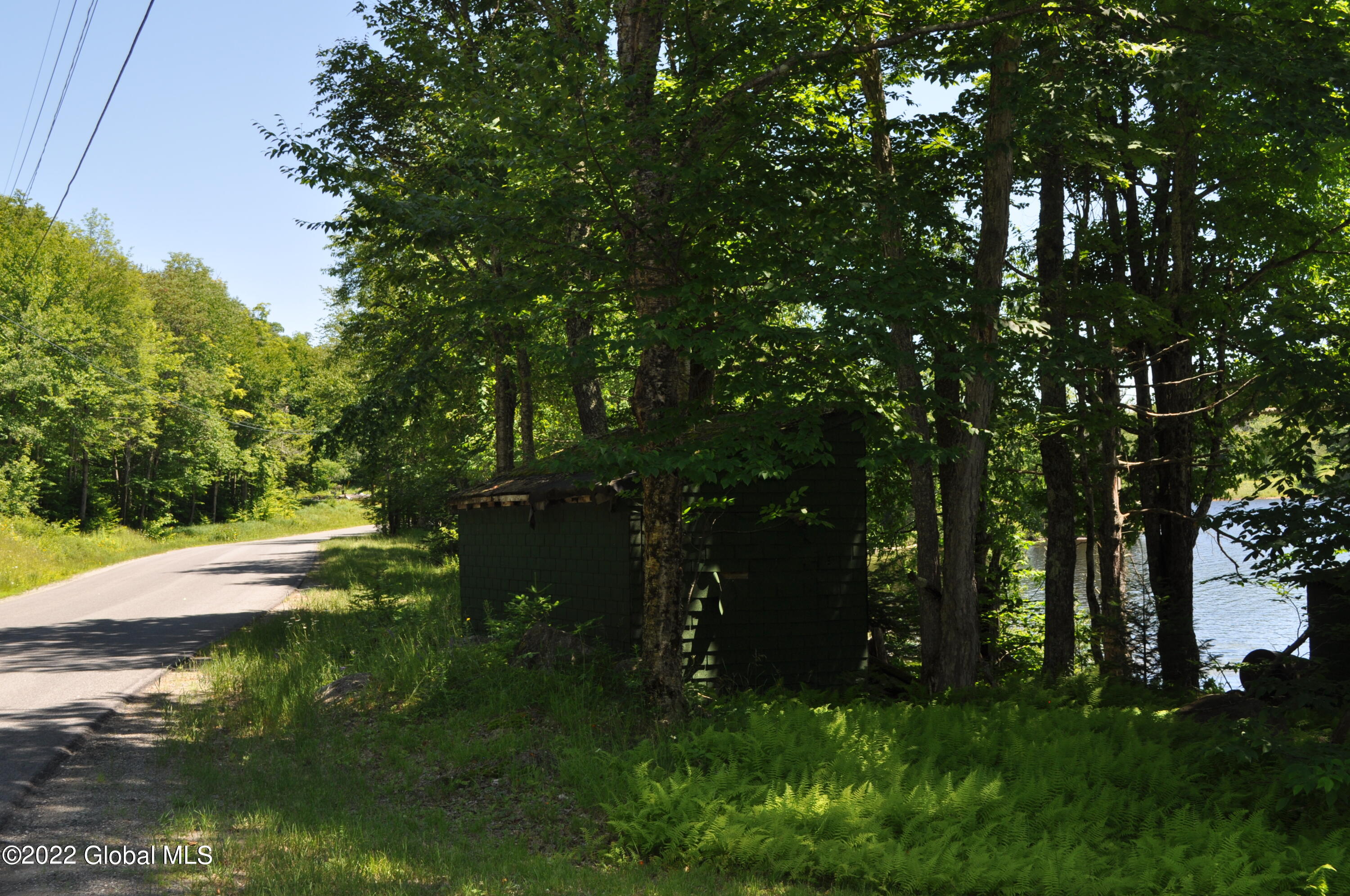 1112 Goodnow Flow Road Newcomb, NY 12852 - Photo 20 of 47 DSC_0023