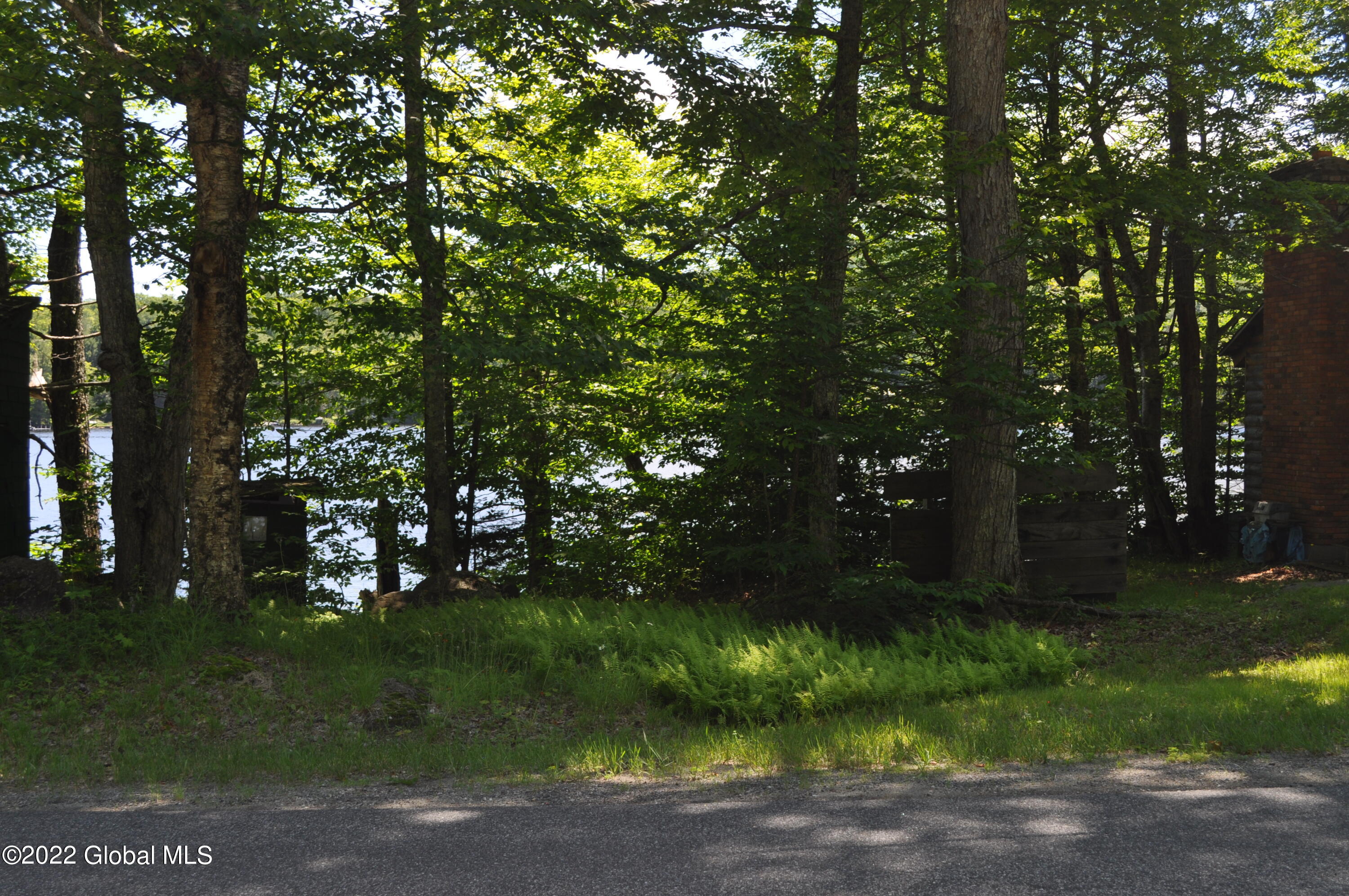 1112 Goodnow Flow Road Newcomb, NY 12852 - Photo 23 of 47 DSC_0030
