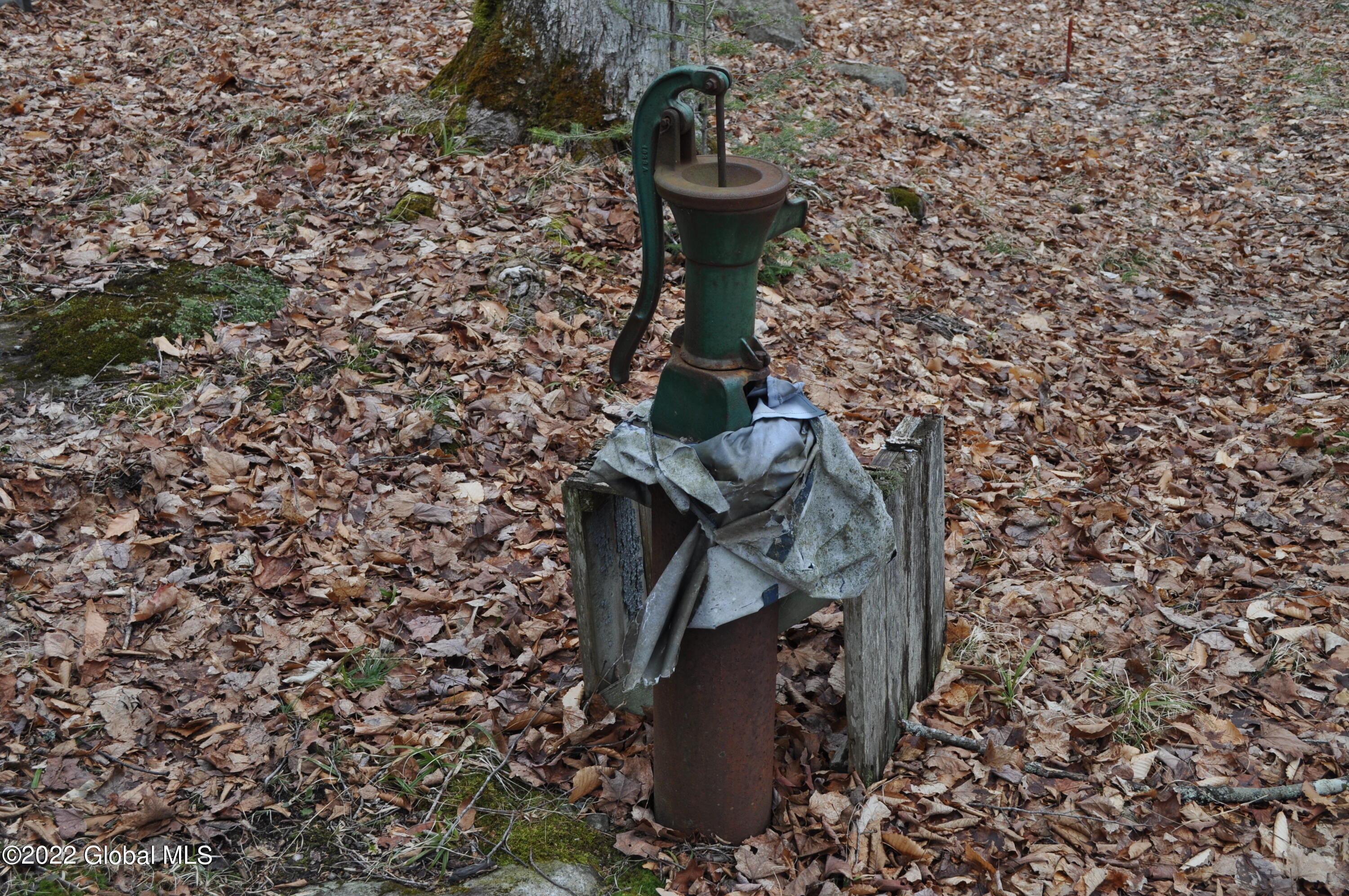 1112 Goodnow Flow Road Newcomb, NY 12852 - Photo 45 of 47 DSC_0015