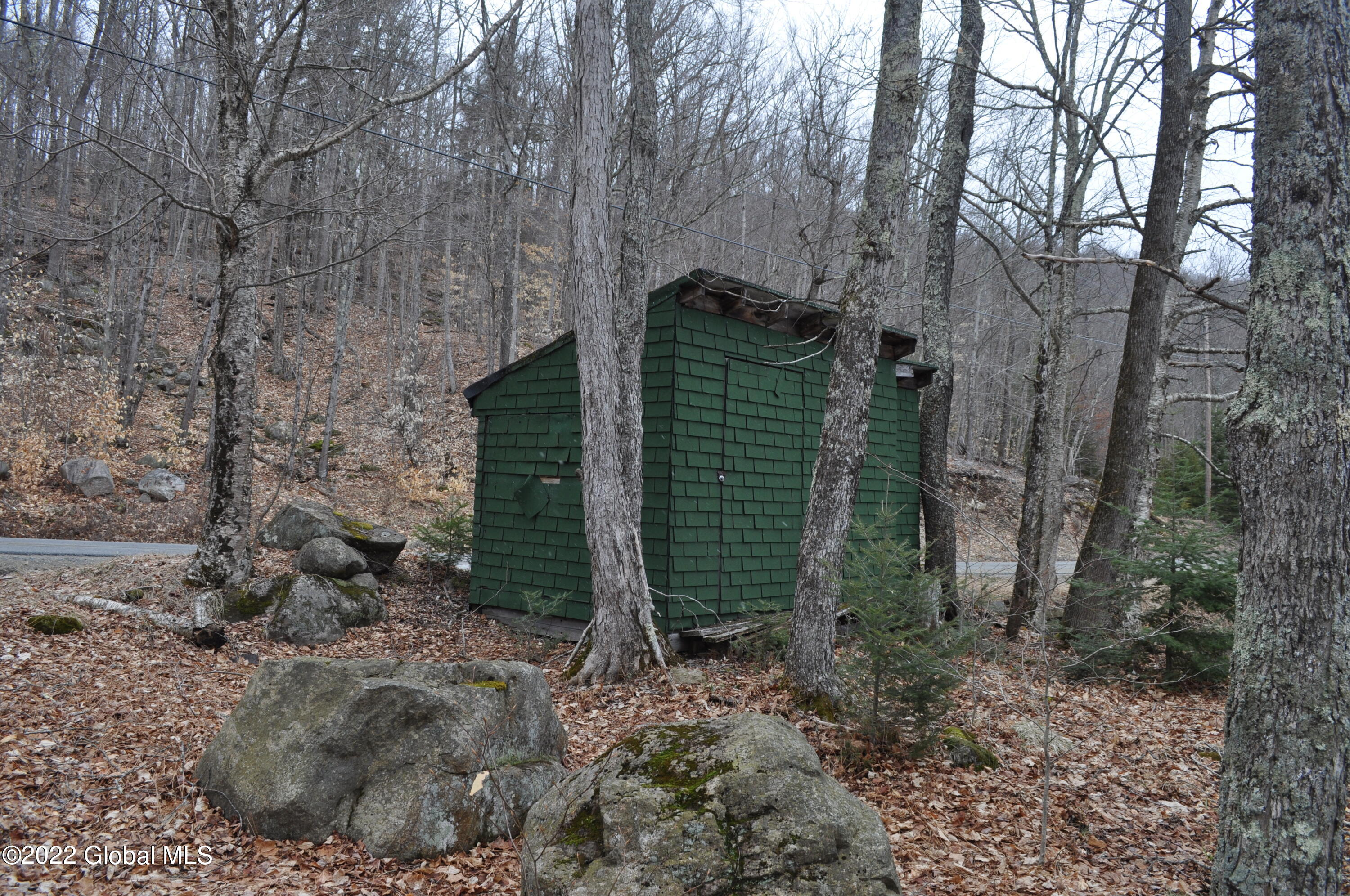 1112 Goodnow Flow Road Newcomb, NY 12852 - Photo 47 of 47 DSC_0012