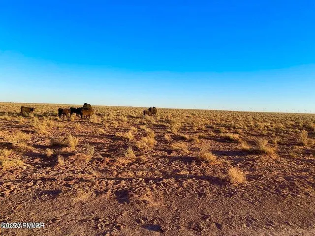 a view of a large body of water with a building in the background