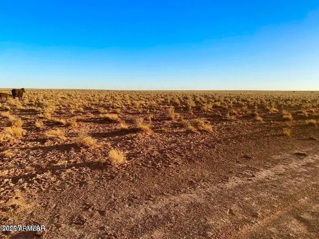 a view of city with ocean