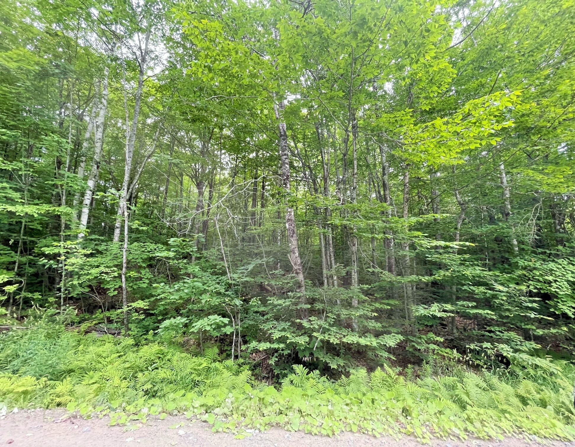 M9-l6 Finson Road St. Albans, ME 04971 - Photo 5 of 9 4