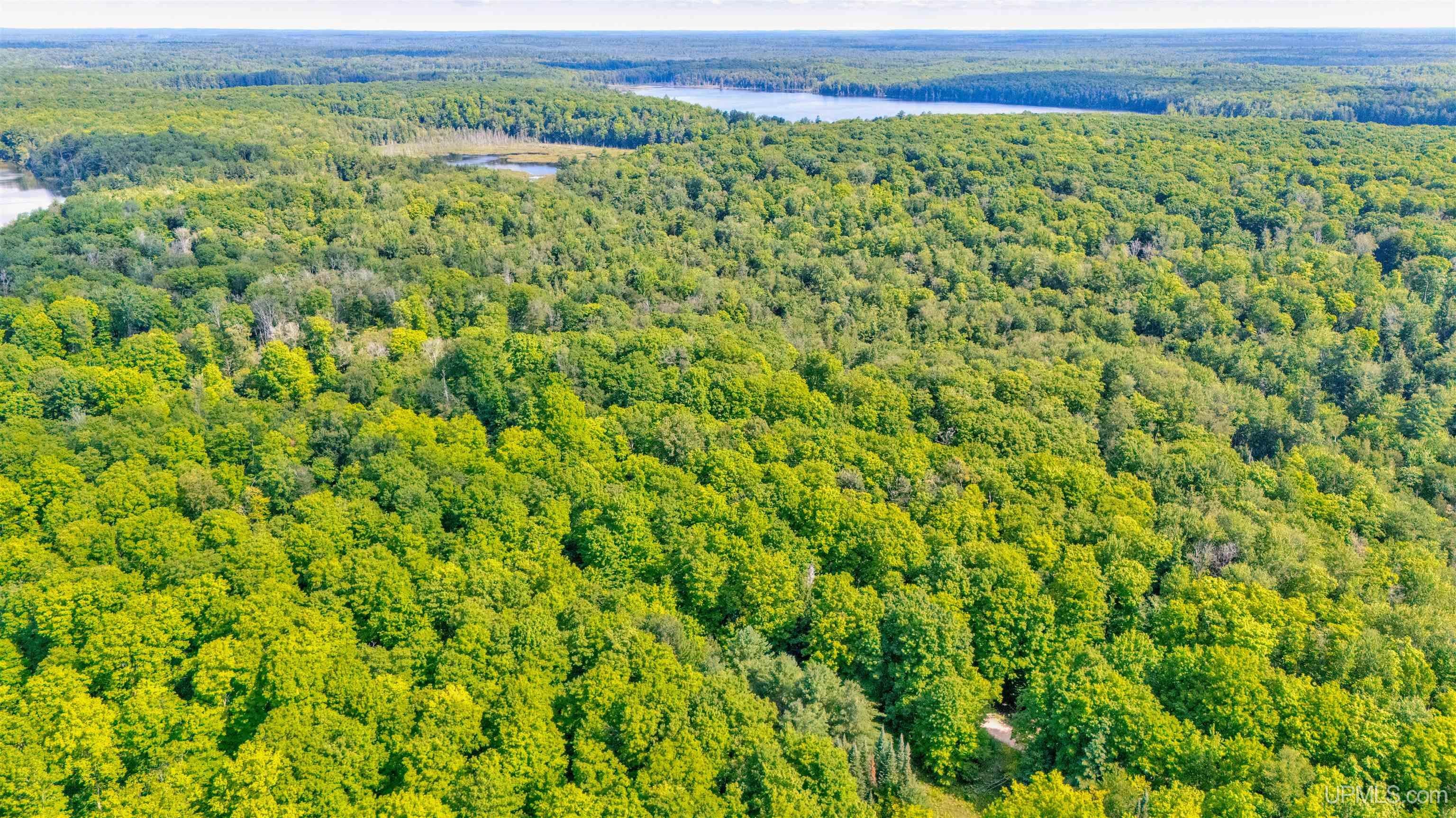 6590 County Road 445 Road Manistique, MI 49854 - Photo 23 of 30 Gallery Image 23