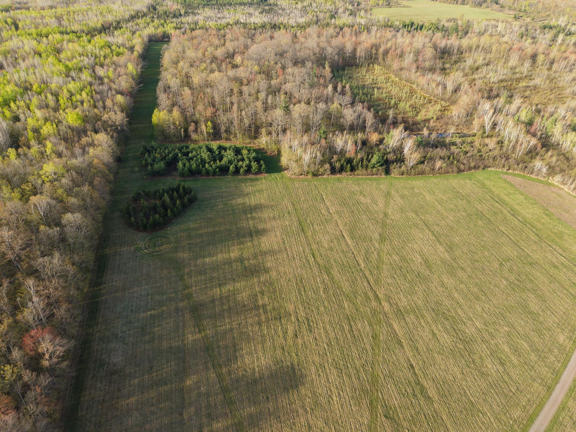 N7898 Fedyn Road Ladysmith, WI 54848 - Photo 83 of 93
