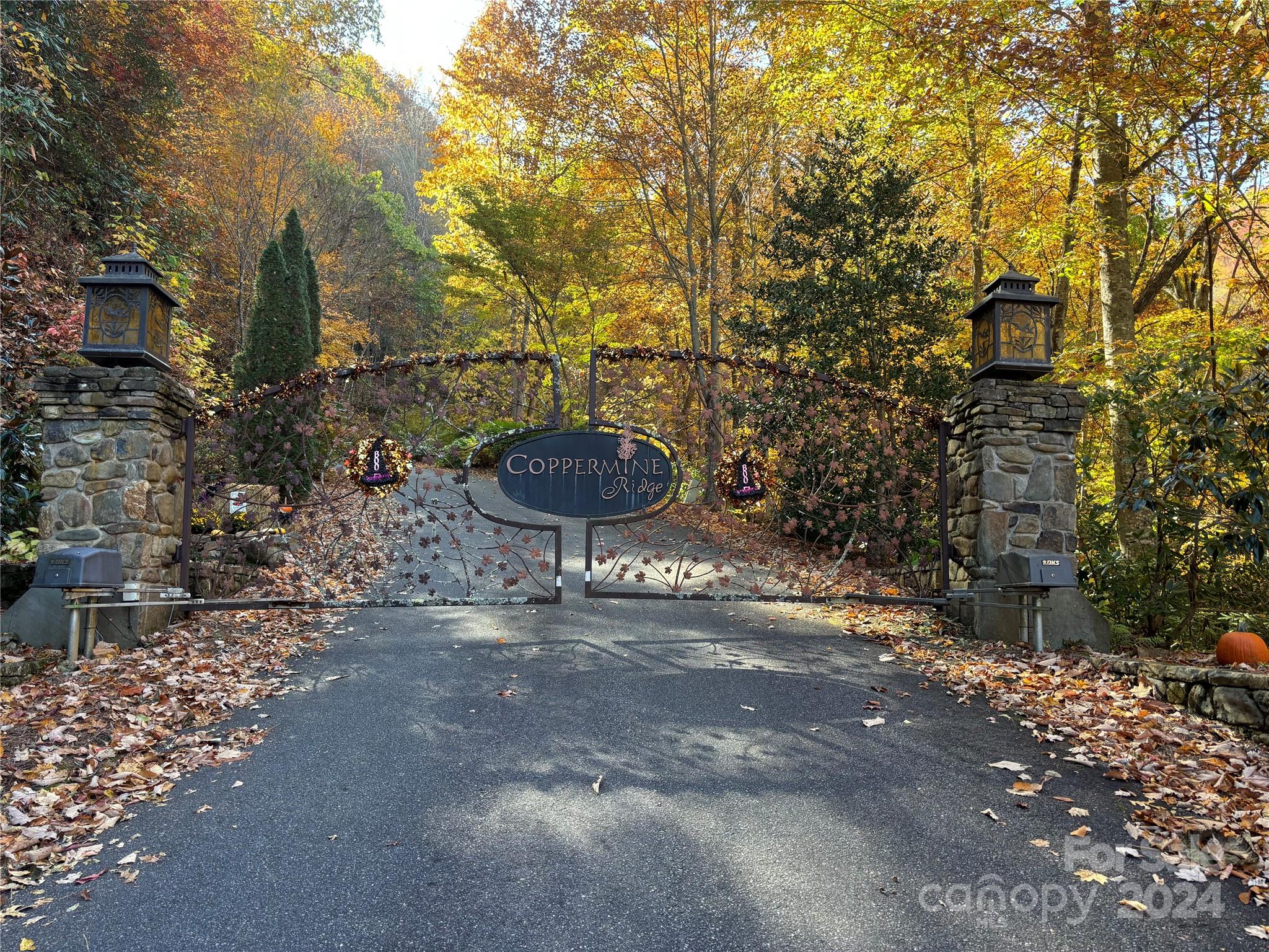 Lot 33 Coppermine Ridge, Unit 33 Whittier, NC 28789 - Photo 11 of 15 a view of a backyard of a house
