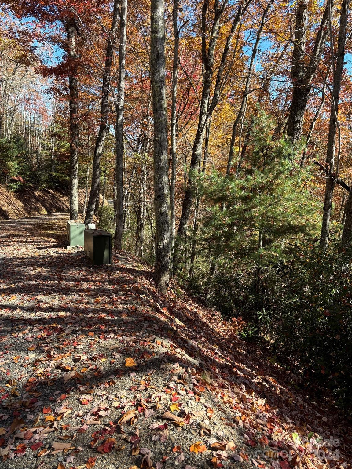Lot 33 Coppermine Ridge, Unit 33 Whittier, NC 28789 - Photo 12 of 15 a view of a forest with trees