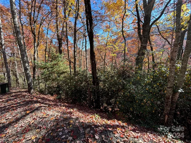 a view of a yard with a tree