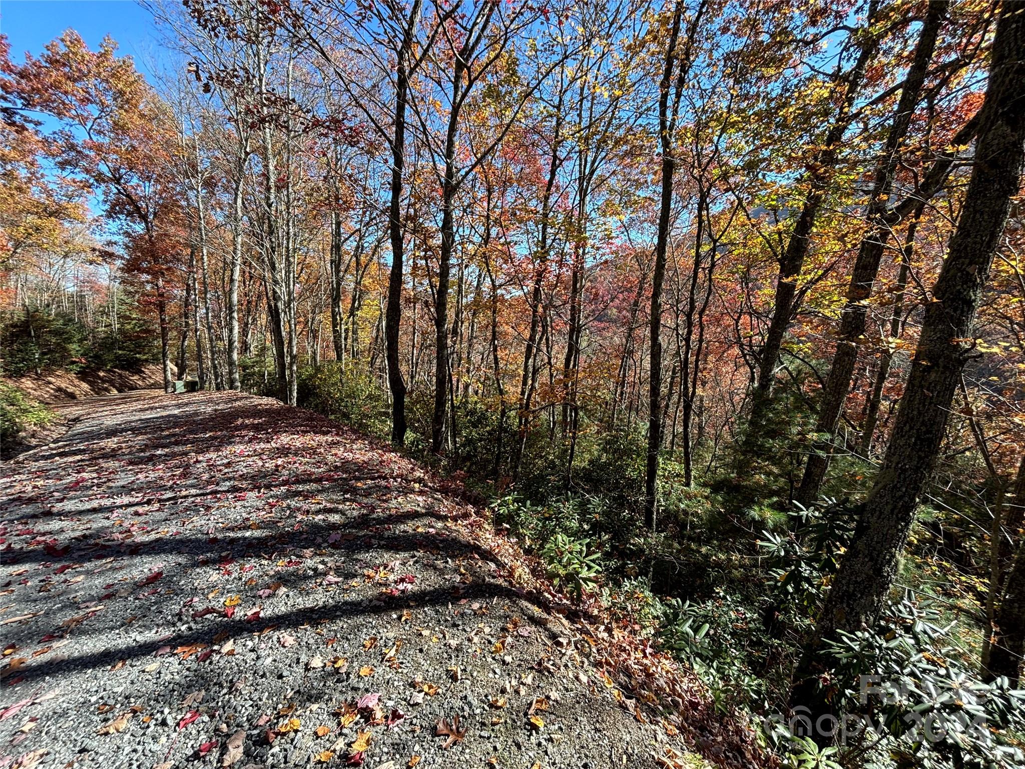 Lot 33 Coppermine Ridge, Unit 33 Whittier, NC 28789 - Photo 14 of 15 a view of a yard with a tree