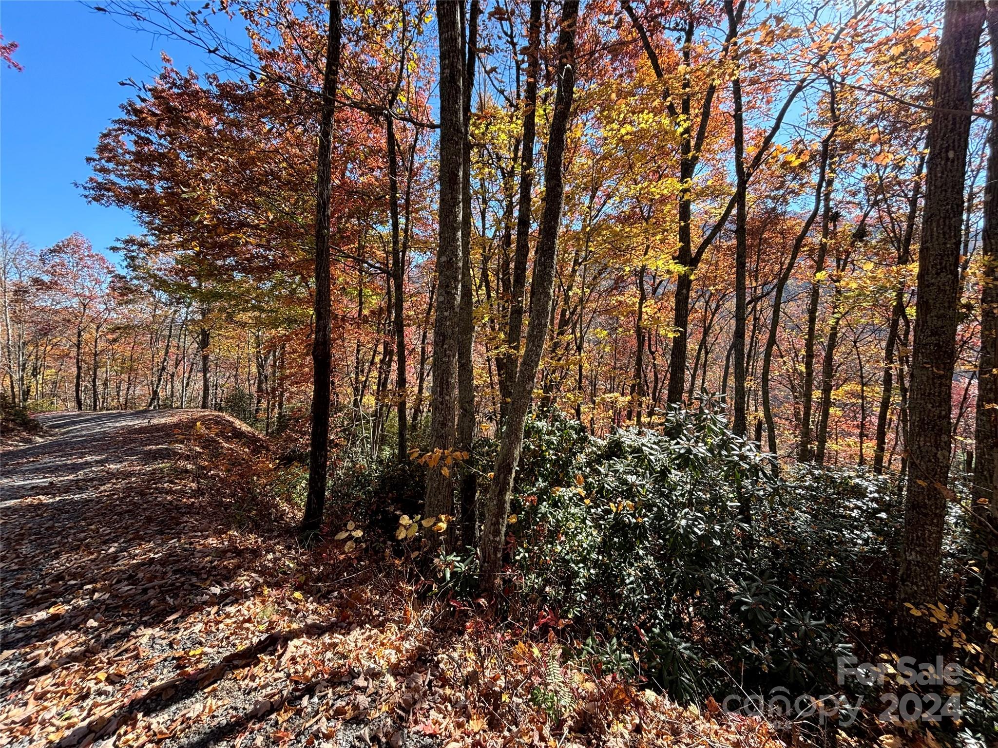 Lot 33 Coppermine Ridge, Unit 33 Whittier, NC 28789 - Photo 15 of 15 a view of a yard with a tree