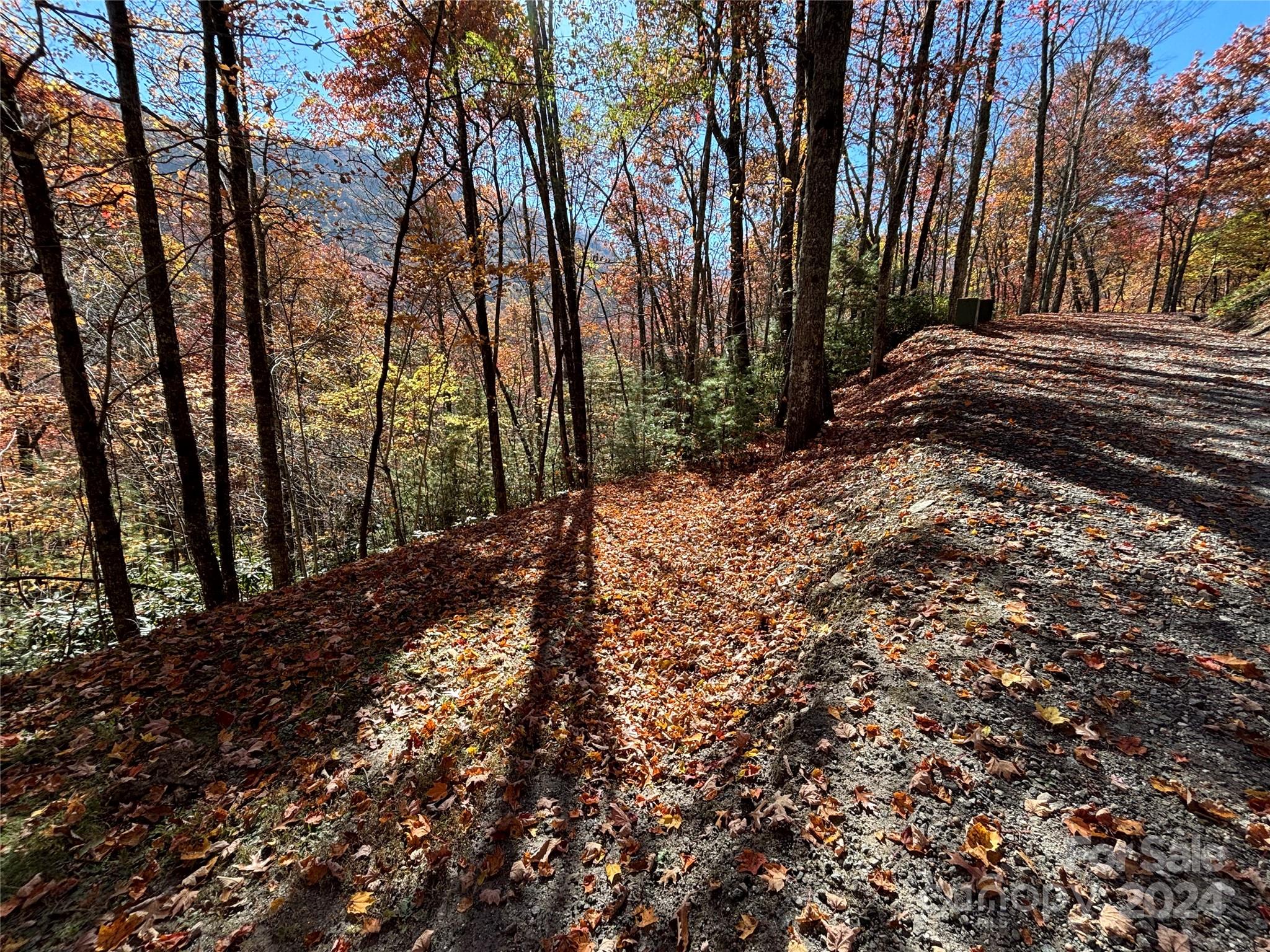 Lot 33 Coppermine Ridge, Unit 33 Whittier, NC 28789 - Photo 2 of 15 a view of a yard with trees