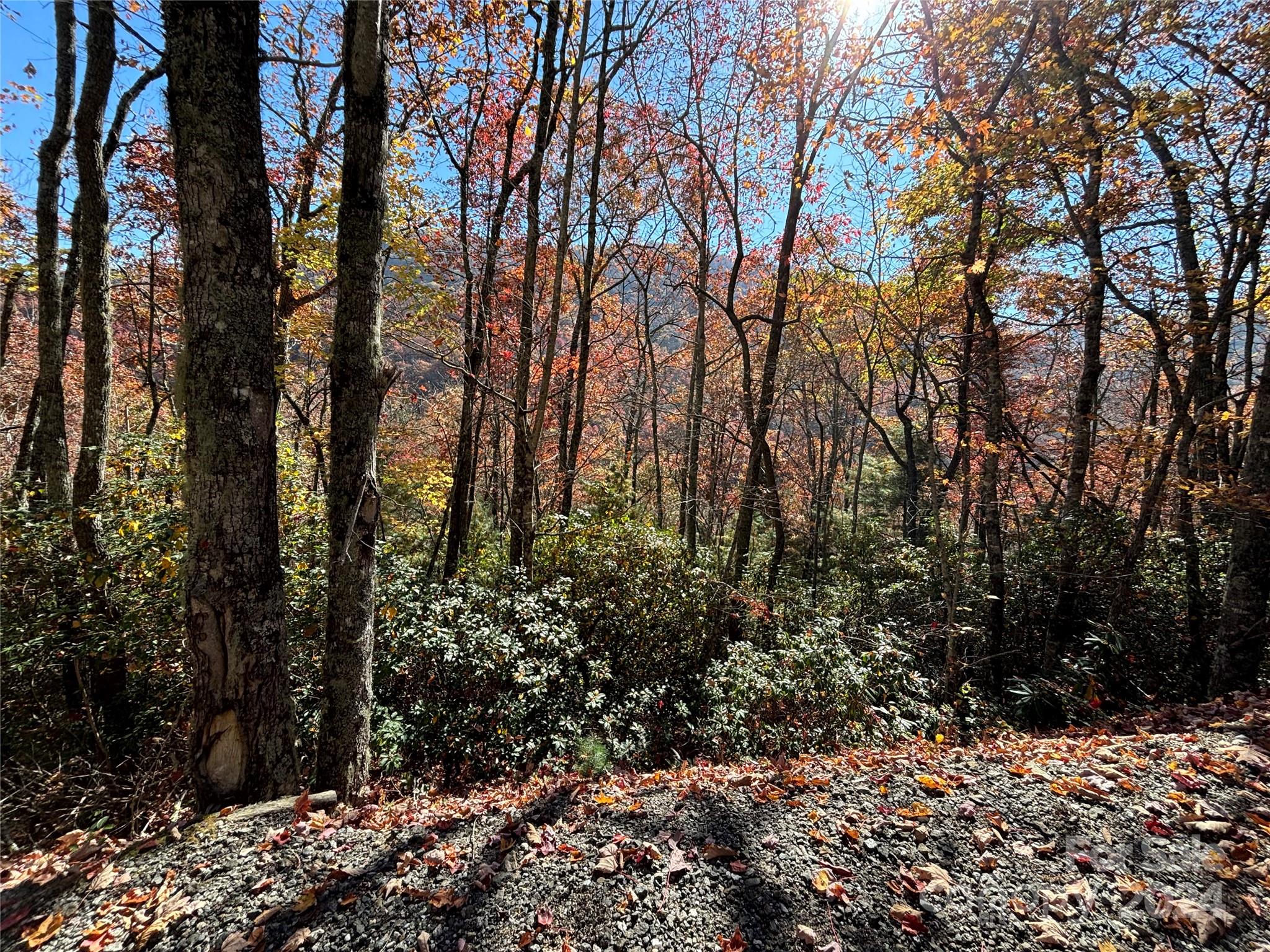 Lot 33 Coppermine Ridge, Unit 33 Whittier, NC 28789 - Photo 3 of 15