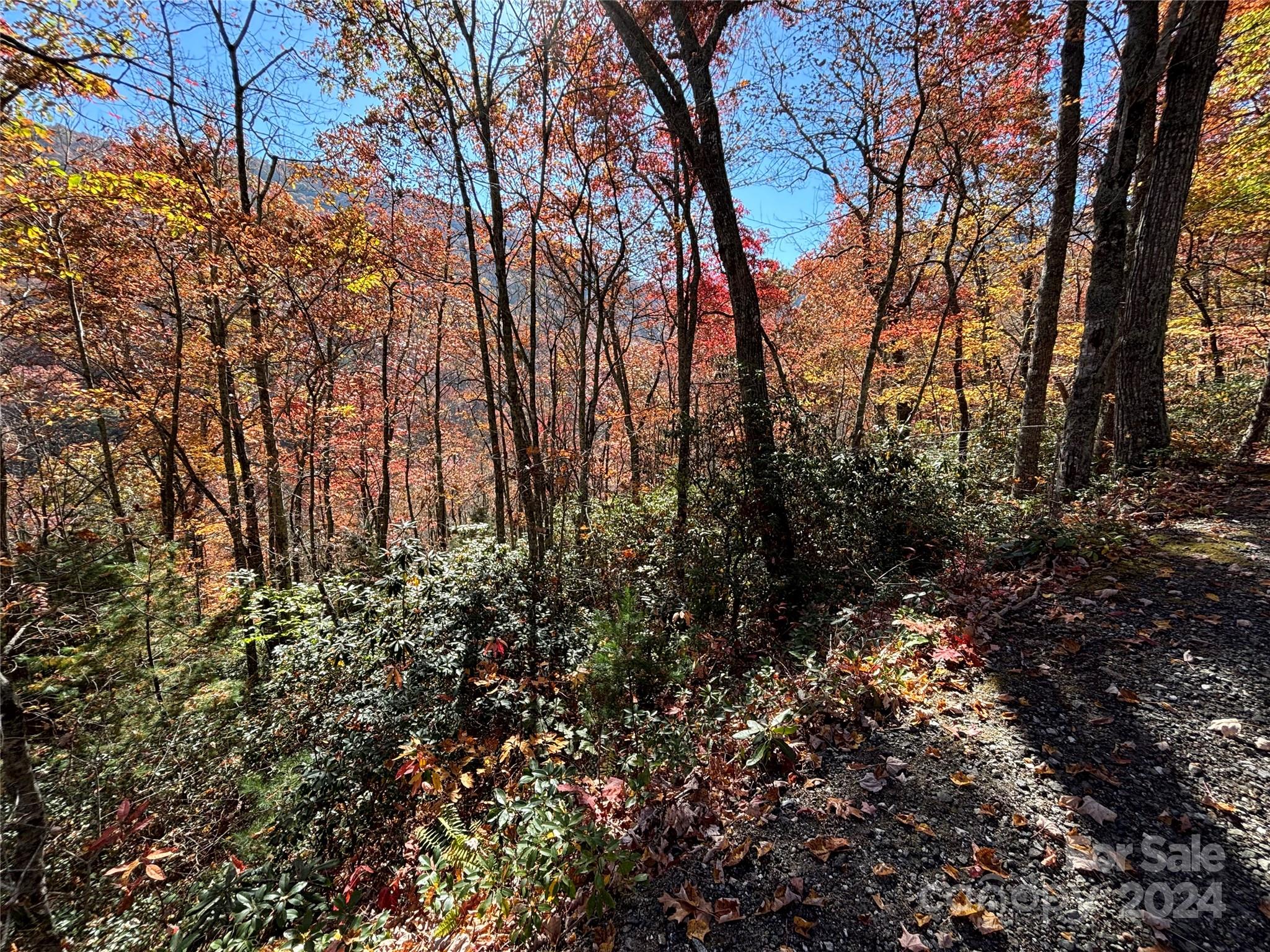 Lot 33 Coppermine Ridge, Unit 33 Whittier, NC 28789 - Photo 5 of 15