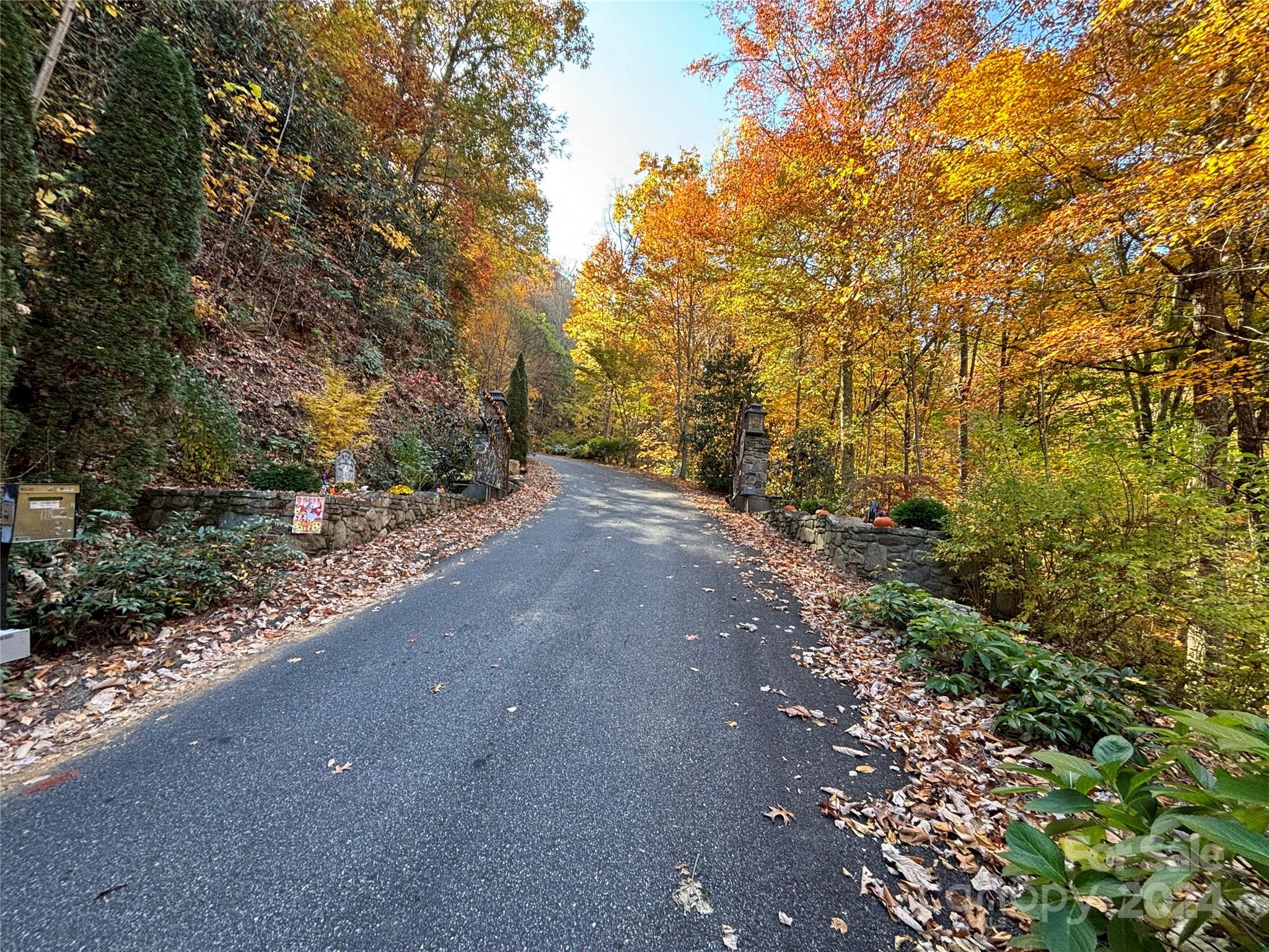 Lot 33 Coppermine Ridge, Unit 33 Whittier, NC 28789 - Photo 10 of 15 a view of a road with trees in the background