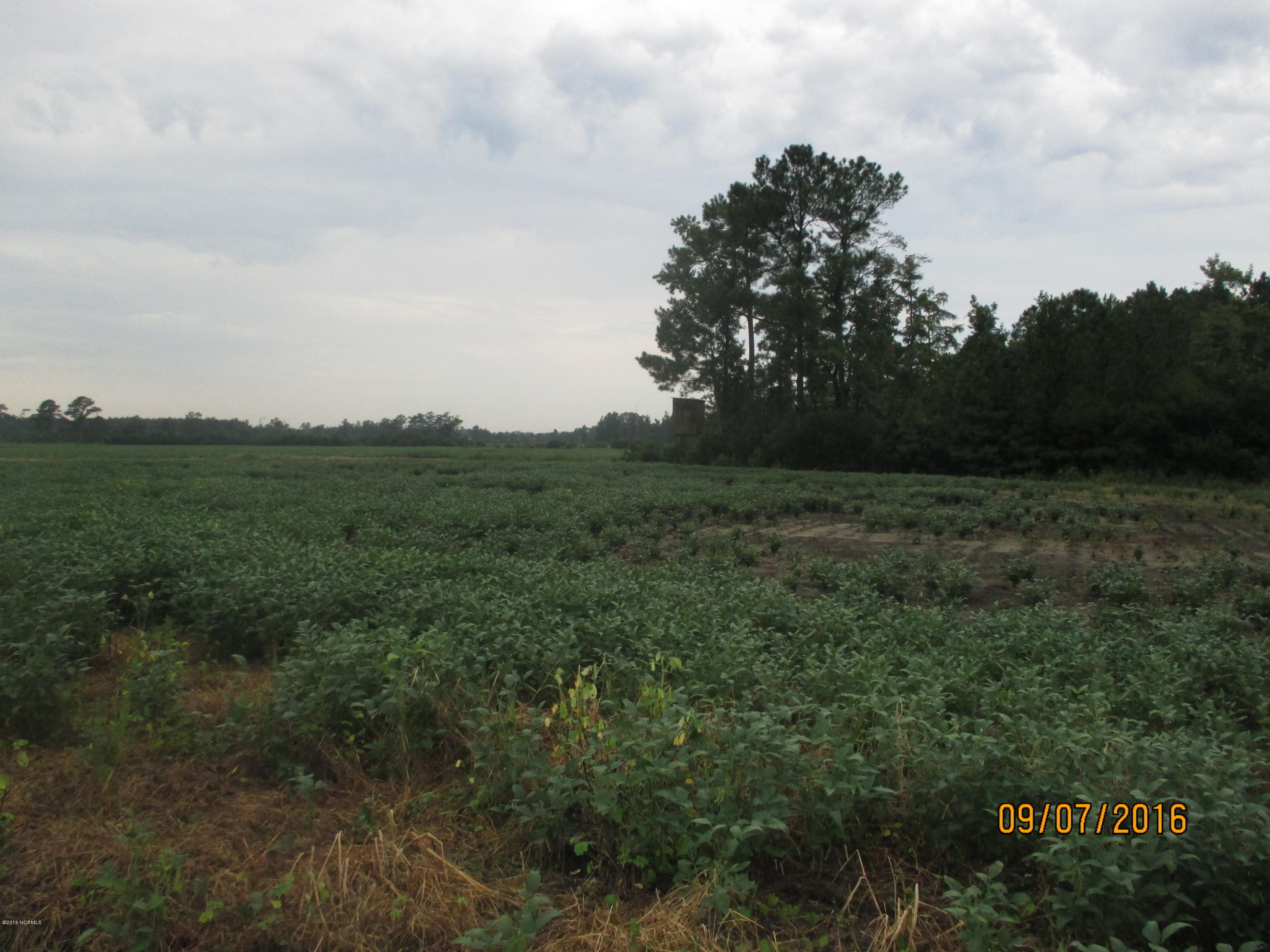 1511 State Road Belhaven, NC 27810 - Photo 4 of 8 005