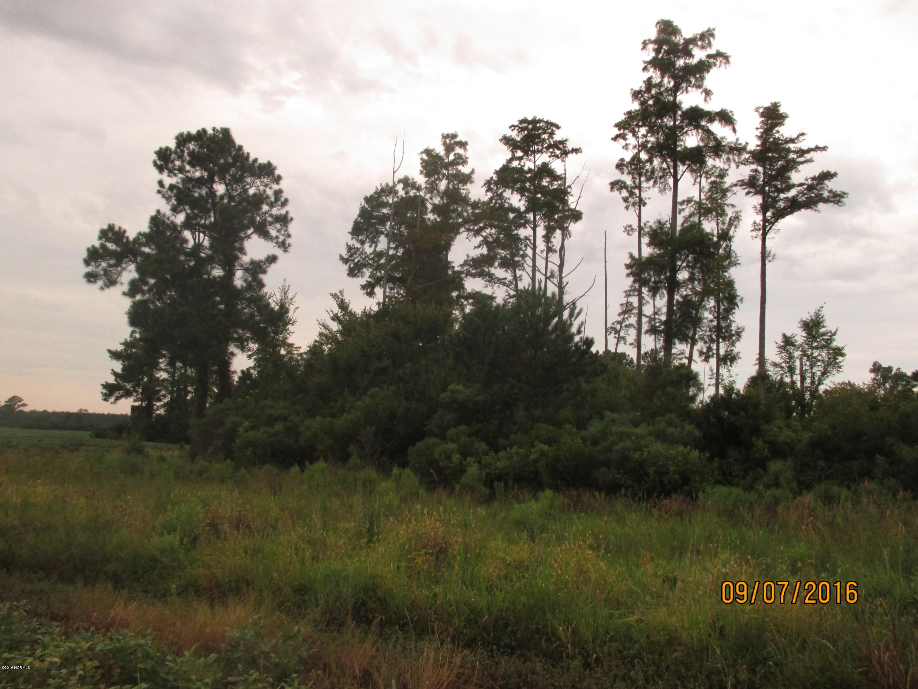 1511 State Road Belhaven, NC 27810 - Photo 7 of 8 003