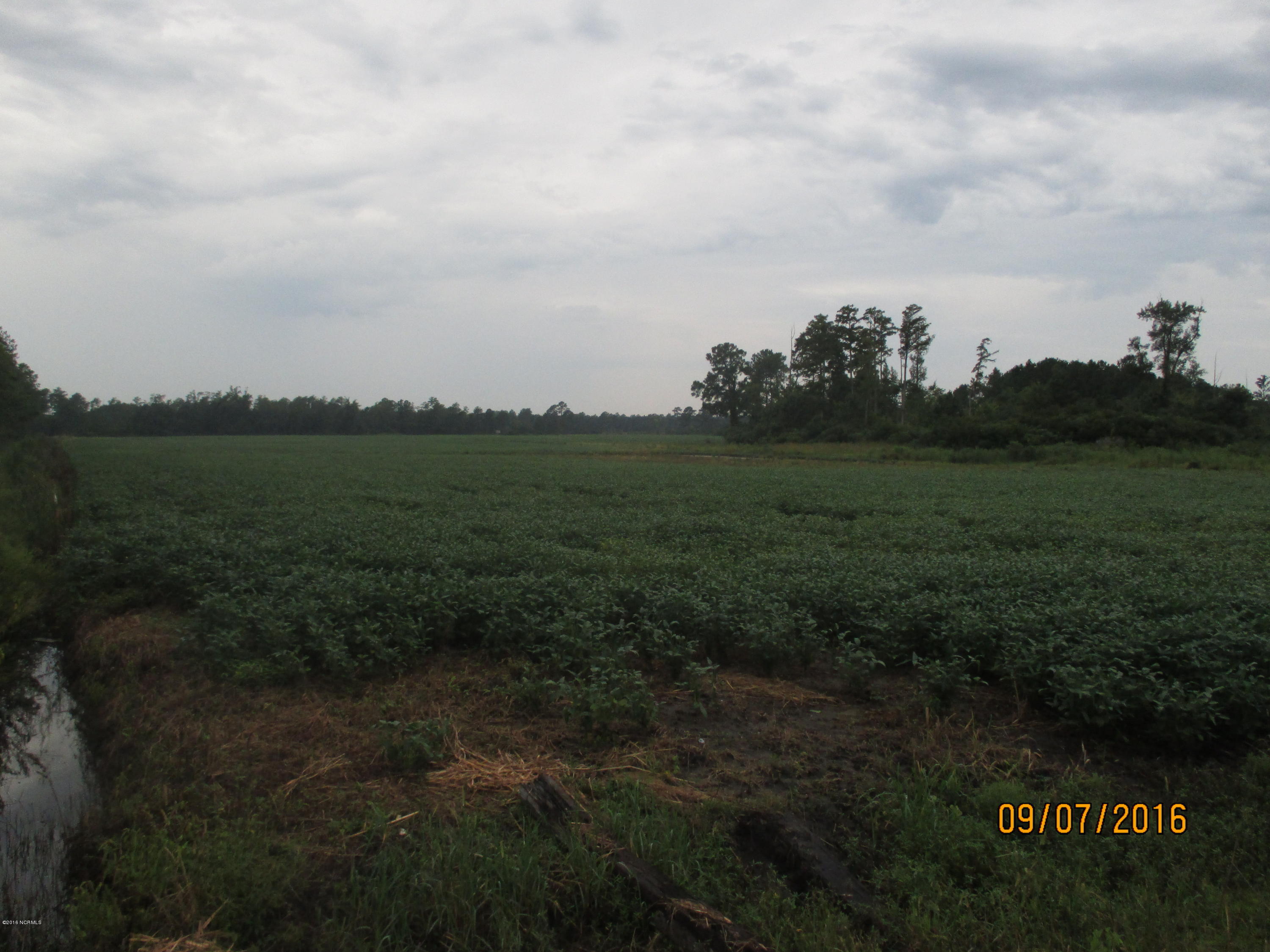 1511 State Road Belhaven, NC 27810 - Photo 8 of 8 001