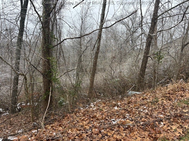 3988 Pinnacle View Road Hurricane, WV 25526 - Photo 2 of 4 Gallery Image 2
