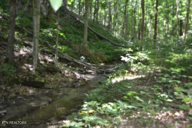 2390 Pea Ridge Fire Tower Road Celina, TN 38551 - Photo 26 of 58 DSC_0111