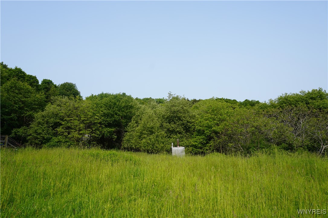 4598 East Becker Road Collins, NY 14034 - Photo 2 of 10