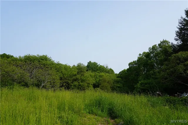 $100,000 | 4598 East Becker Road, Collins, NY 14034