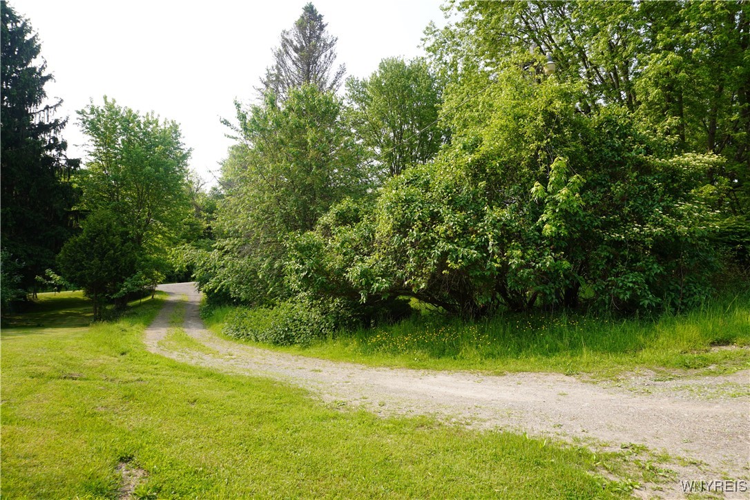 4598 East Becker Road Collins, NY 14034 - Photo 4 of 10 top of the driveway looking towards the road