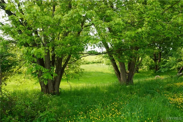 $100,000 | 4598 East Becker Road, Collins, NY 14034