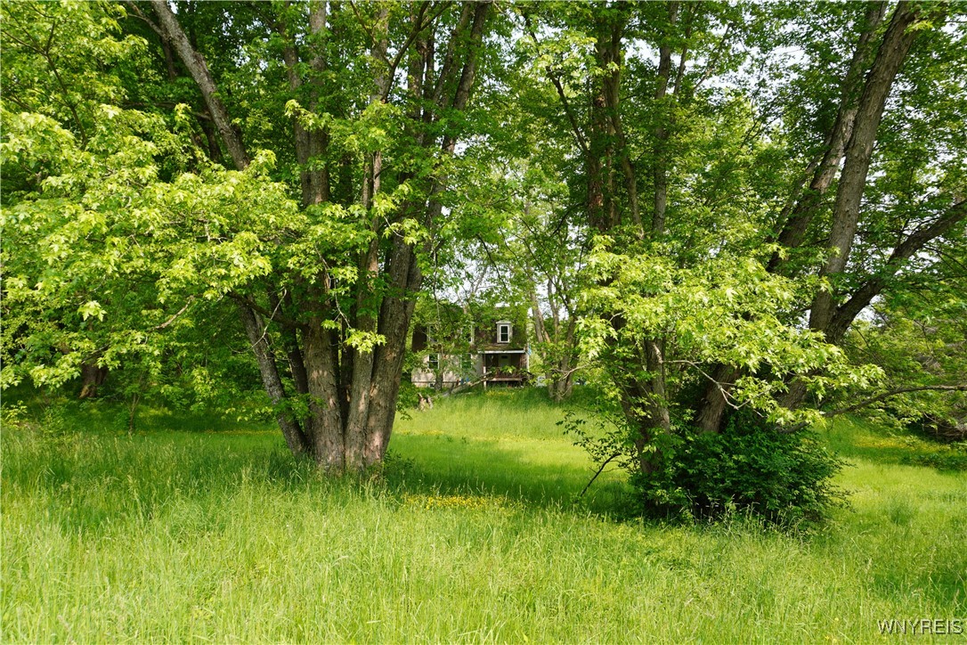 4598 East Becker Road Collins, NY 14034 - Photo 8 of 10