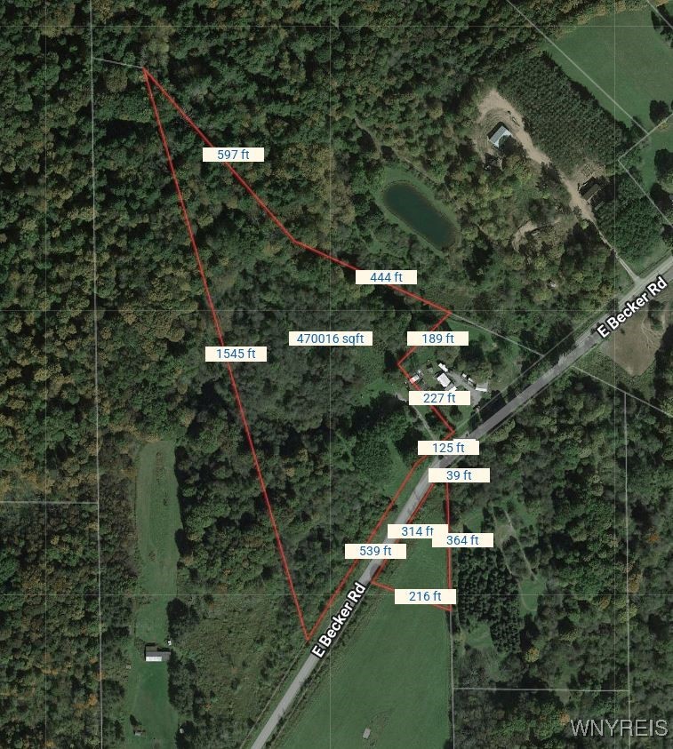 4598 East Becker Road Collins, NY 14034 - Photo 10 of 10