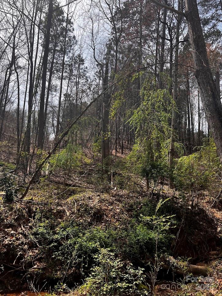 0 Cemetery Loop Hickory, NC 28601 - Photo 5 of 8 a big yard with lots of plants and trees