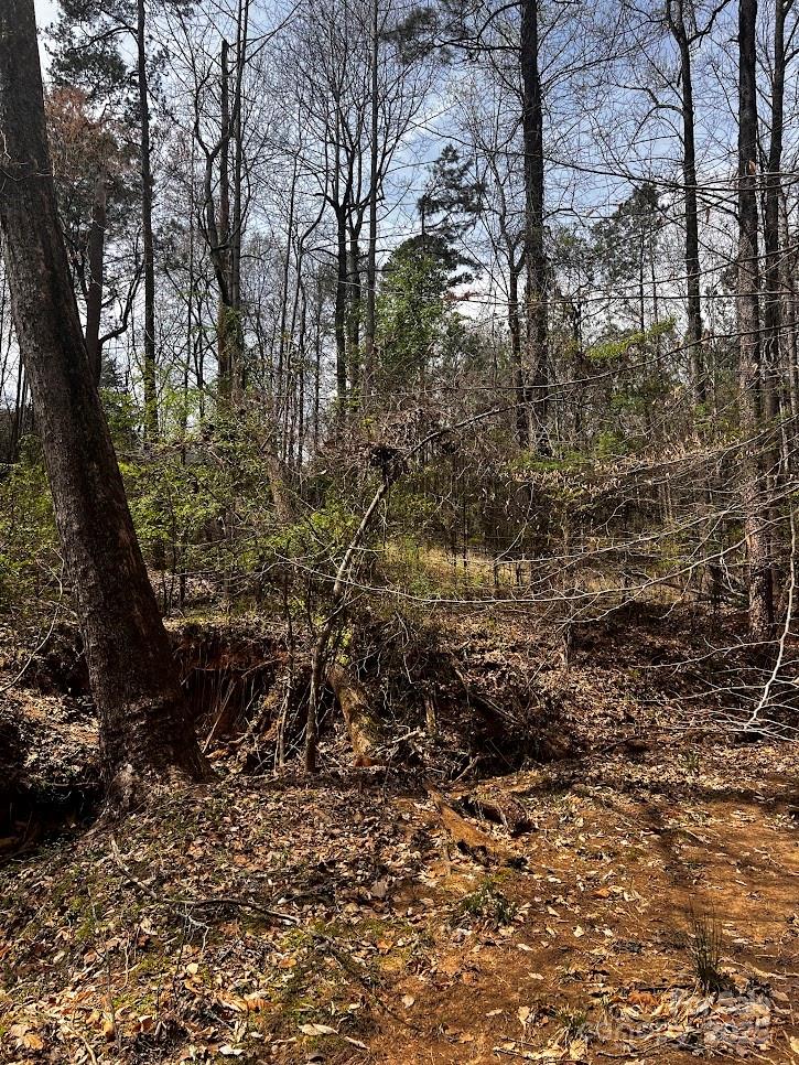 0 Cemetery Loop Hickory, NC 28601 - Photo 6 of 8 a view of a yard