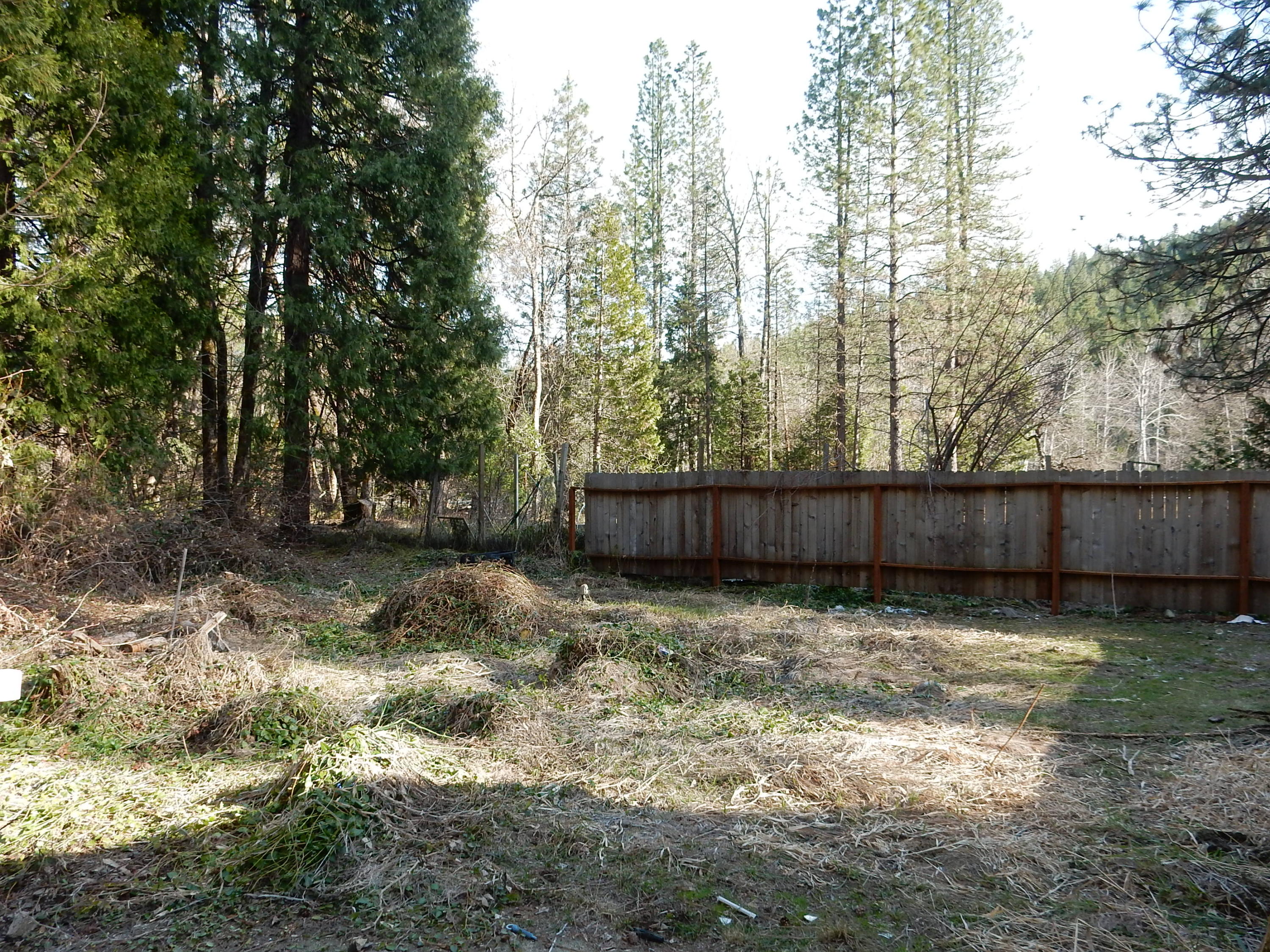 12 Billys Peak Road Trinity Center, CA 96091 - Photo 7 of 21 a backyard of a house with trees and wooden fence