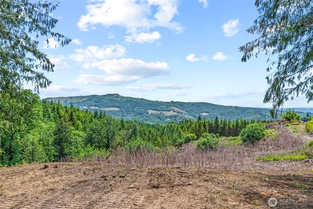 a view of a yard with a tree