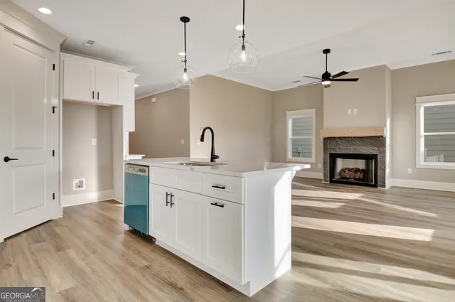 a view of a hallway with wooden floor and closet area