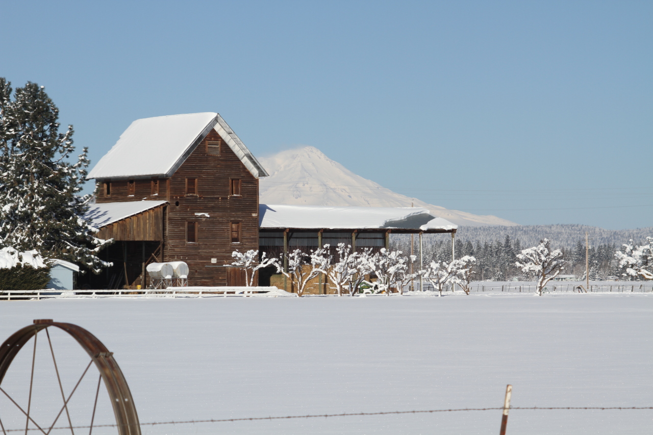 41863 McArthur Road Fall River Mills, CA 96028 - Photo 6 of 8 More views of Mt. Shasta