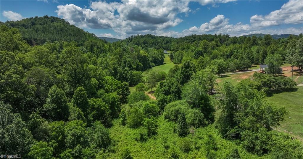 1 Rocky Top Acres Road Ferguson, NC 28624 - Photo 8 of 16