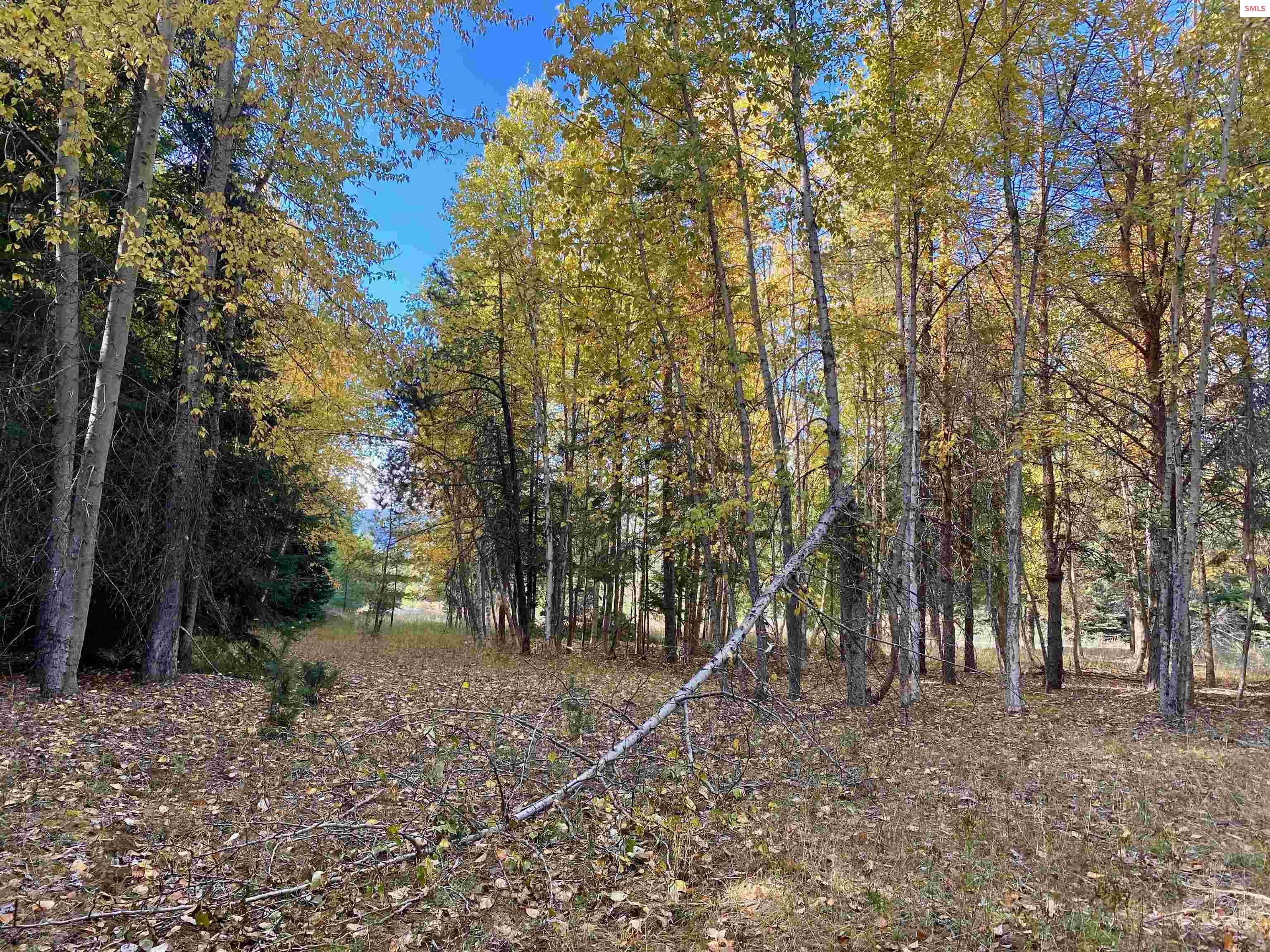 Nna Cougar Road Naples, ID 83847 - Photo 20 of 43 Gallery Image 20