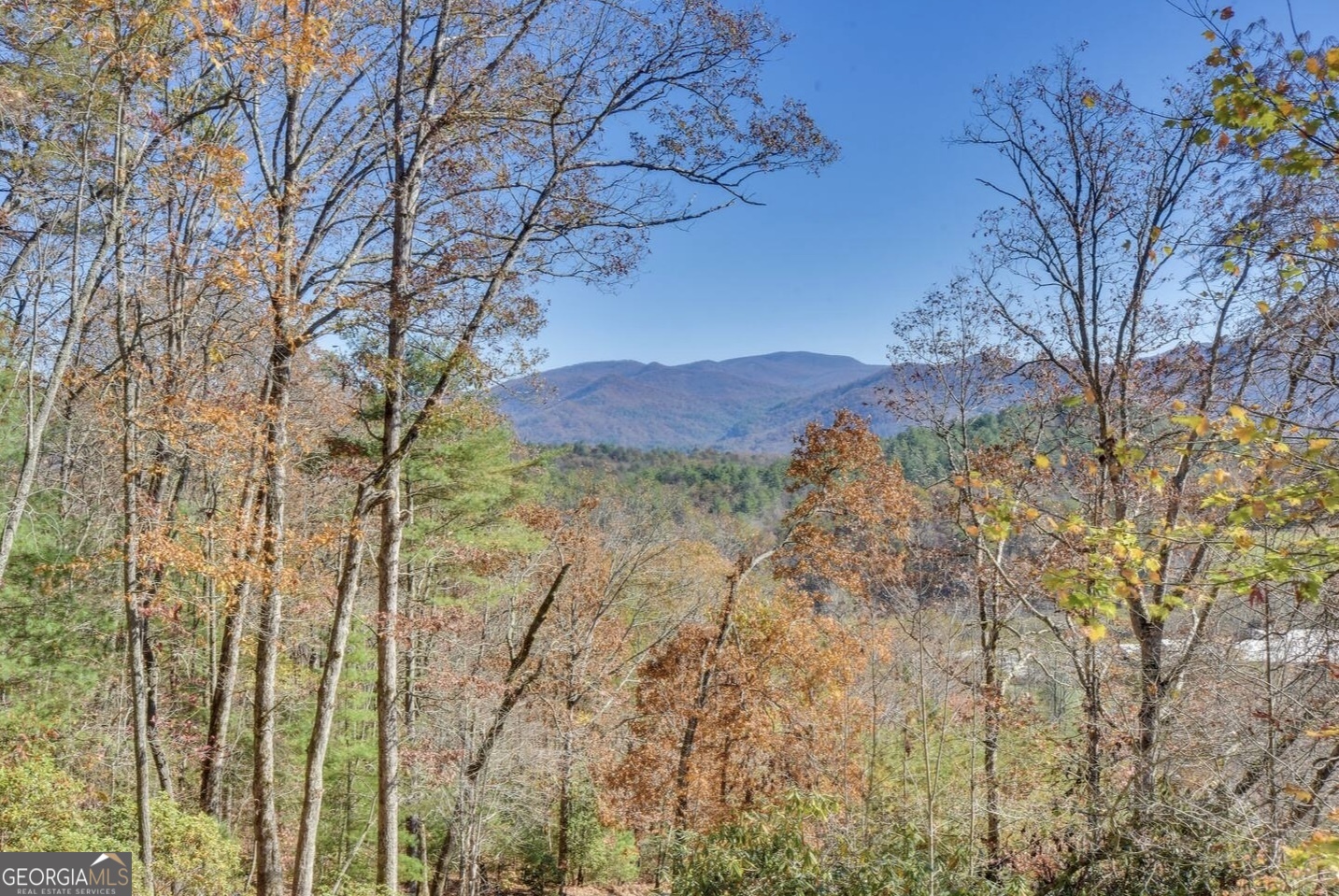 243 Degroff Lane Rabun Gap, GA 30568 - Photo 25 of 35 a view of a yard with a tree