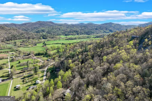 a view of a city with mountains in the background