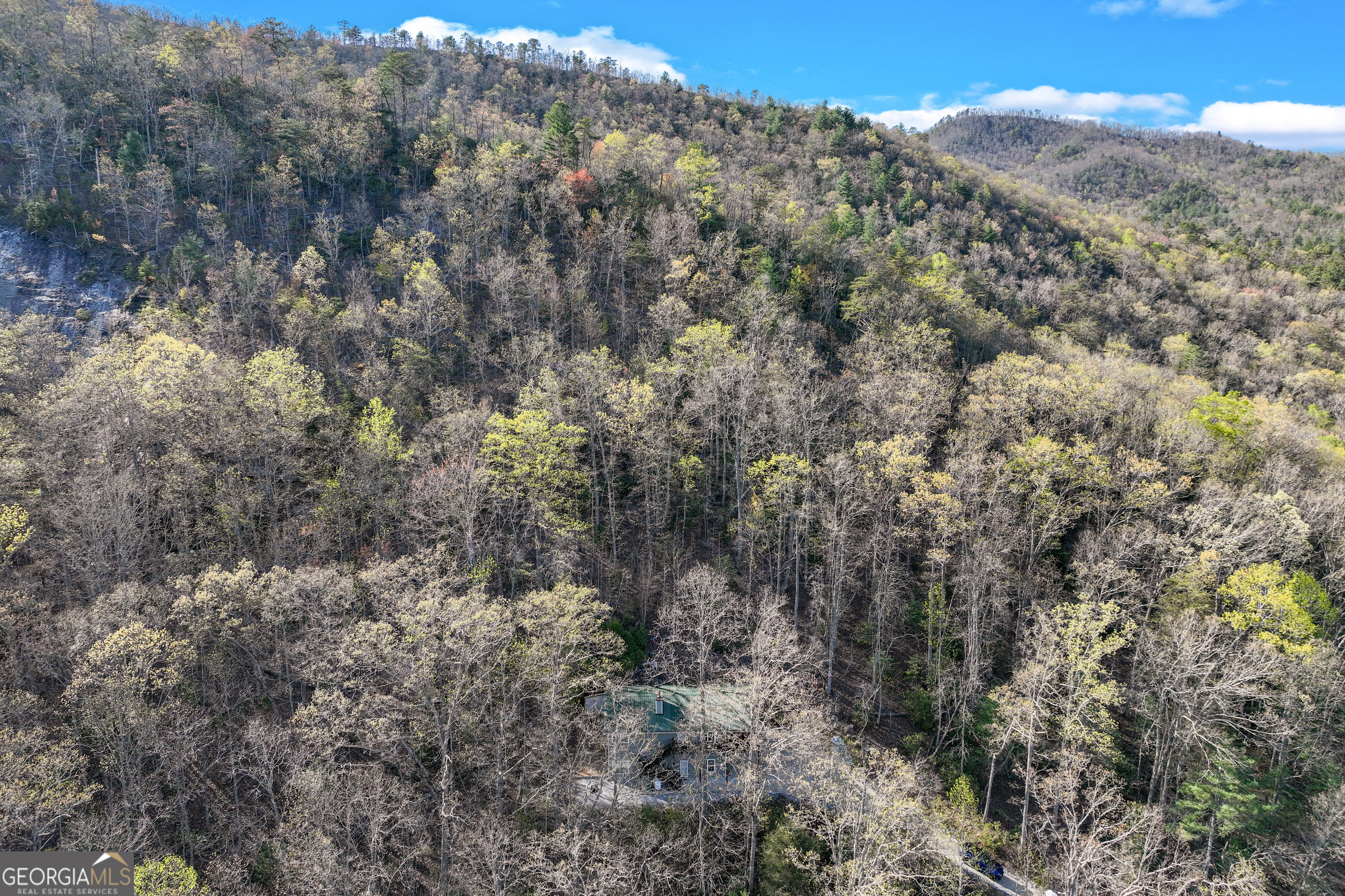 243 Degroff Lane Rabun Gap, GA 30568 - Photo 34 of 35 a view of a yard covered with trees