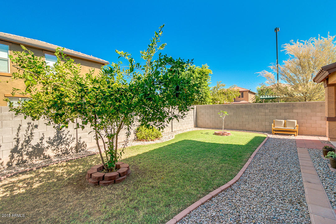3954 East Morelos Street Gilbert, AZ 85295 - Photo 26 of 31 a view of a backyard with plants